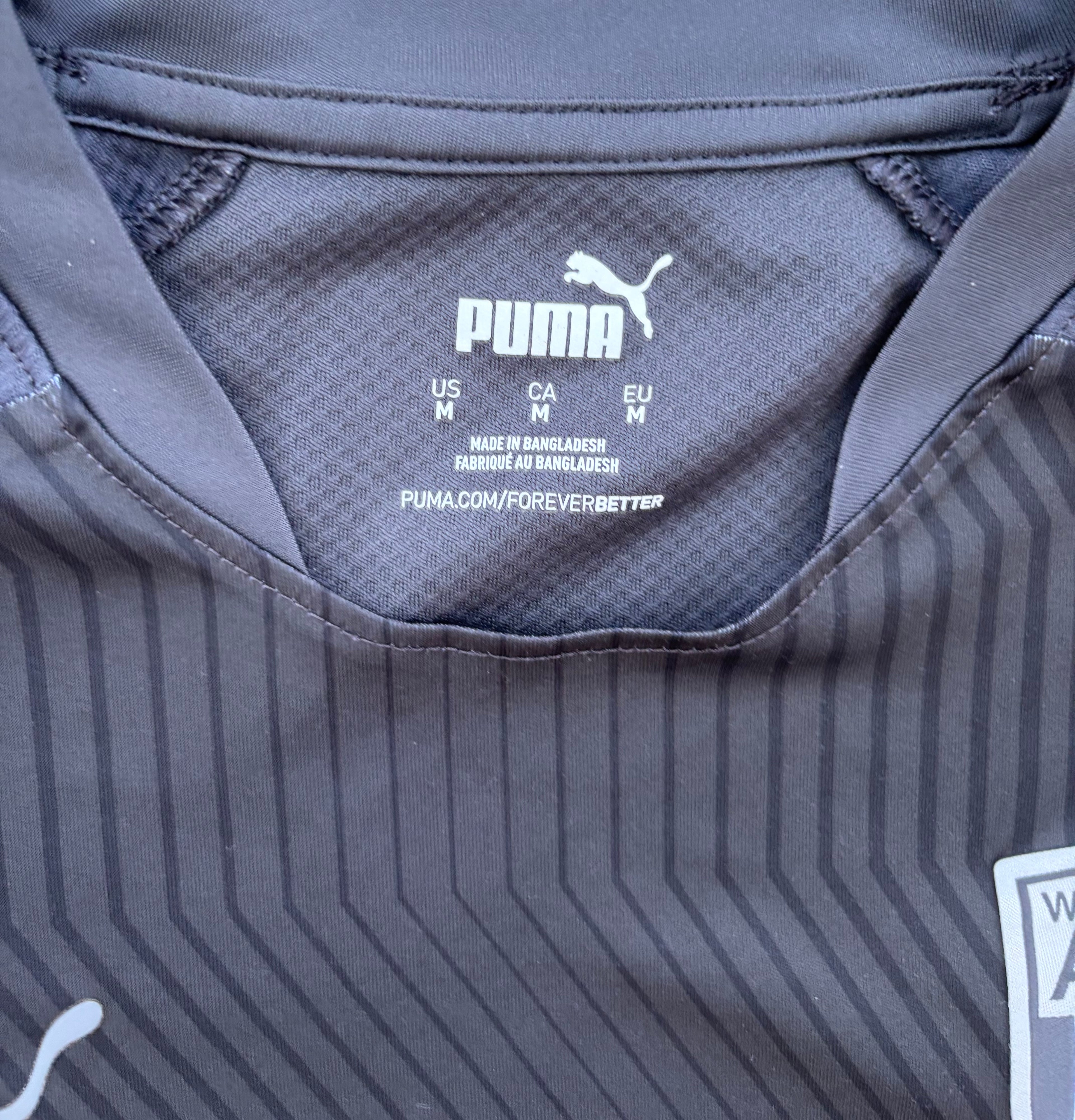 West Bromwich Albion 2018-2019 Puma Training Top