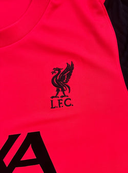 Liverpool FC 2020-21 Nike Training Top image 2