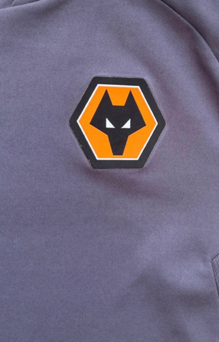 Wolverhampton Wanderers Training Top