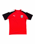 West Bromwich Albion Puma Training Top (M)